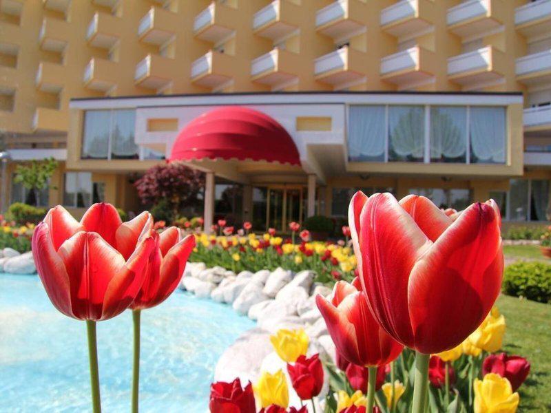 977E657EF25B2F477B3C7F9EA2F8744A