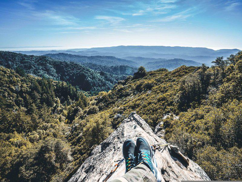 08D305F99153476A8D450E1CEBC4A9B8