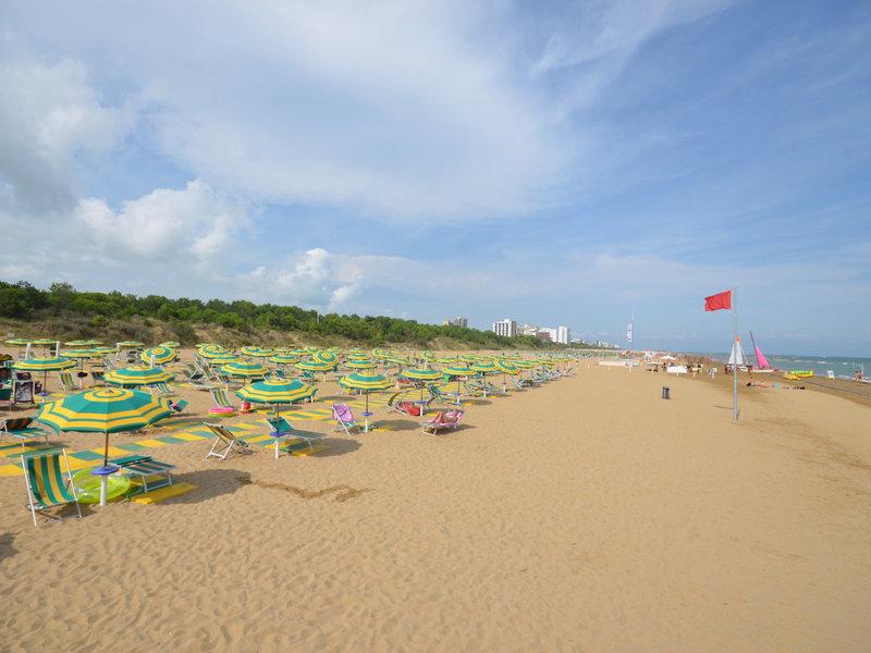 EC636BAC35FD278289D9C3363EB98577