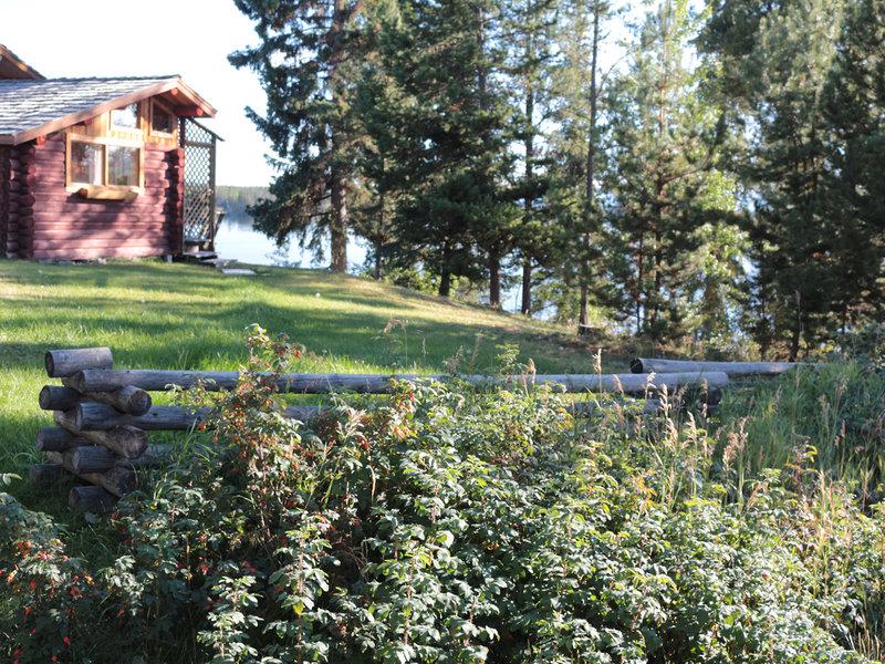 382FC26D88CD0BB0581EC6CB67FFF050