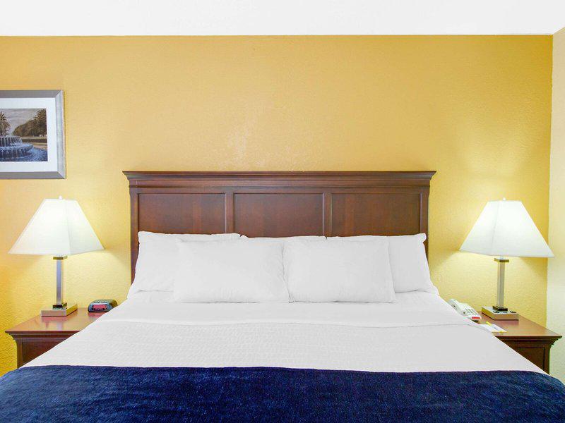 CD8AE5CFA7FDB1E90D4EB06B9AFE984C