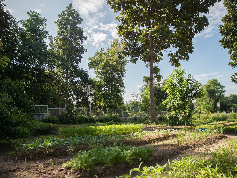 990BCF762D212DF6B5706CE285DA66DC