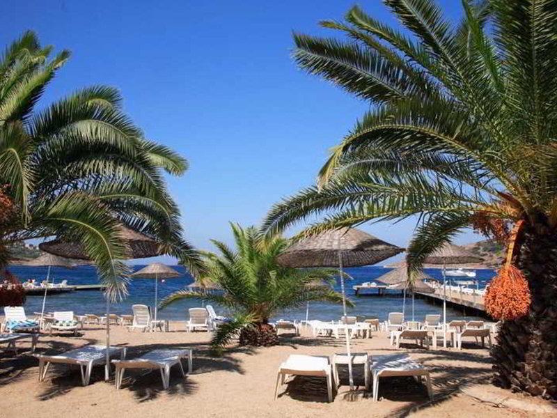 75530B23AC6CA98D4F99C46879C0D2C7