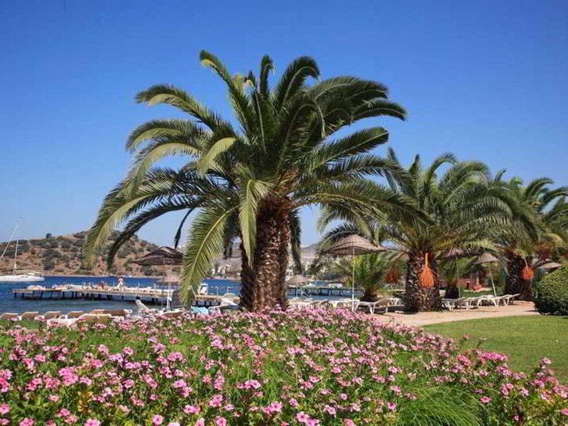 C61F033CF17E0E9D20C5D65DDCFA001D