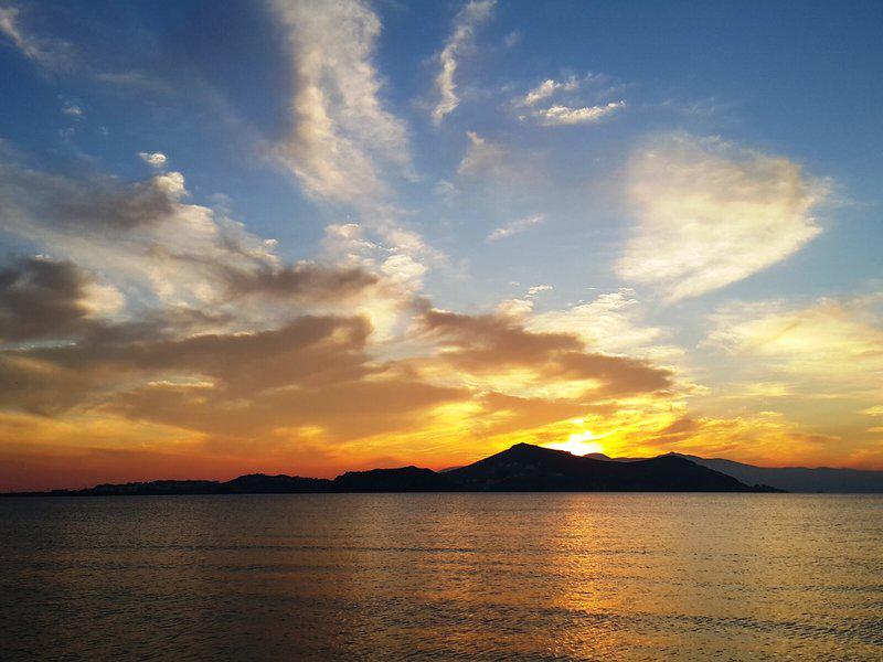 9EAD1B48B984207F0AC597024B93058A