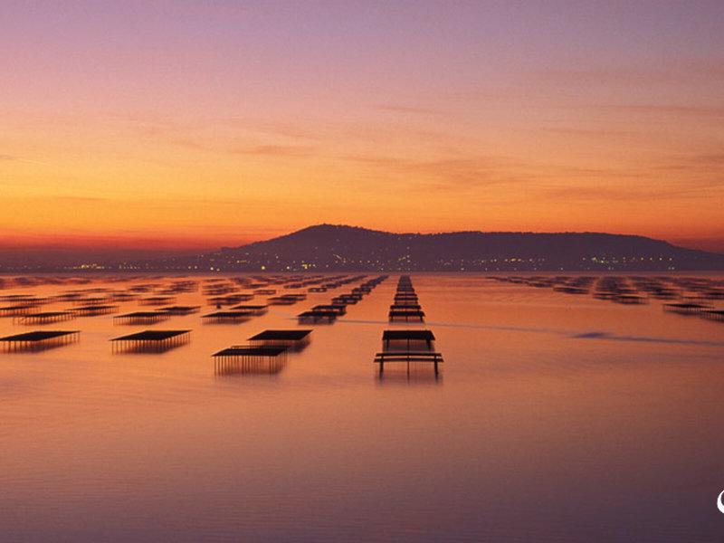 6916E6CF148707E91856B53AAE63F3B4