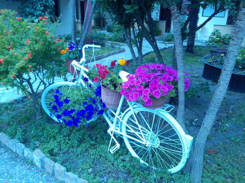 DDE7B8D312D741ED8B2AC8DB07240ABD