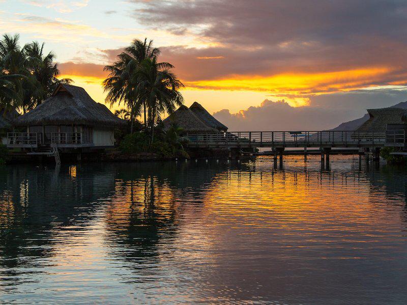 88BCB1CF2E4ED6815A5F0972839E225C