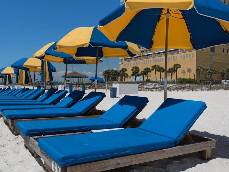 1142D6648CC7D10C8C369A316604B55E