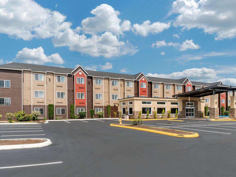 803975050677FCABC2E17E9FE46FC105