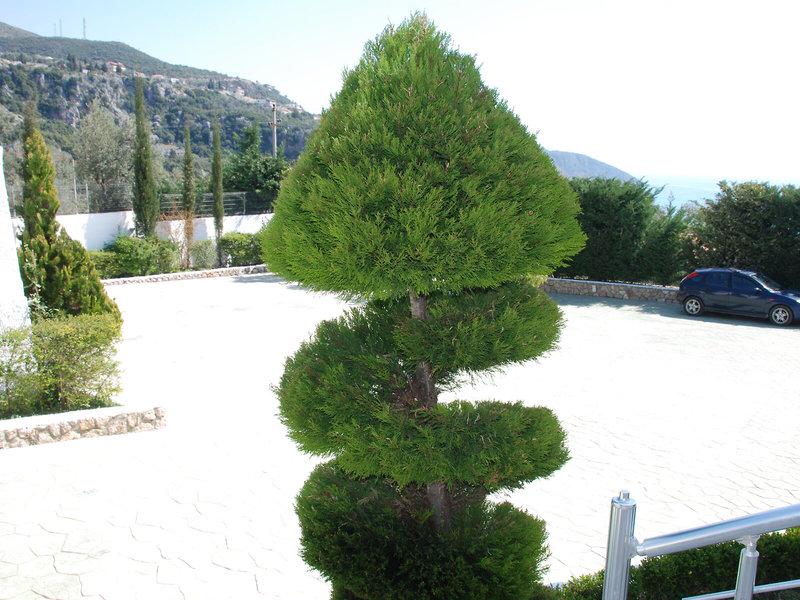 2C467BE59C6051599D8404565B997190