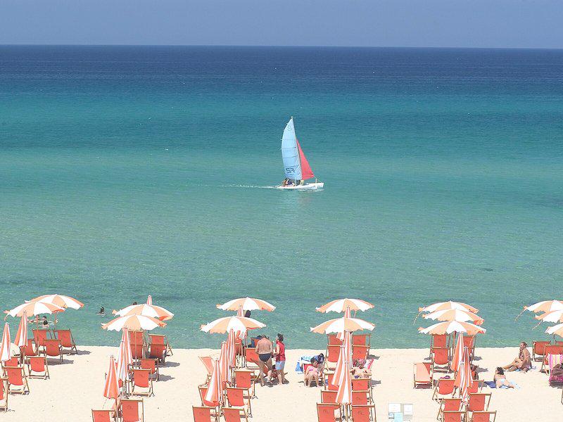 FA71F2FF9A3ED5A350C91FCB6D1EDE11