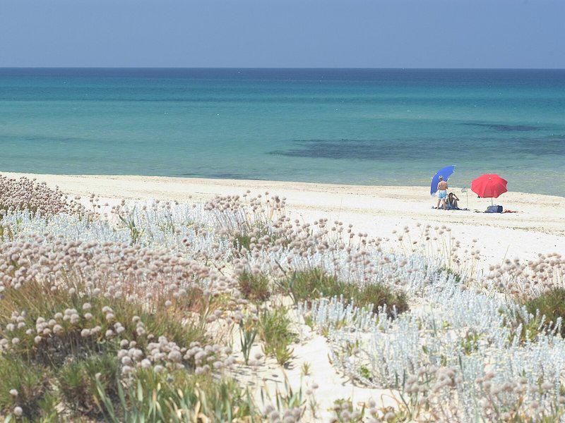 A4EB714DC94B81EDB6CF1562E1BD99C4