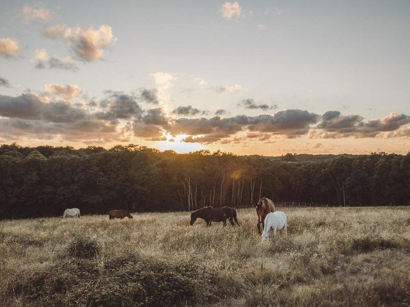 259A6328702FD277B657590CDDA674AF