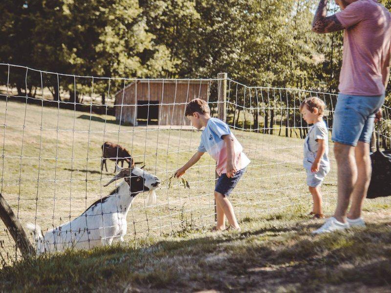 6DB092188A1D60DC3934CC1CFBD96AF8