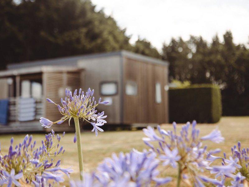 56619D832FD41DE30F96EE36FFADDEC1