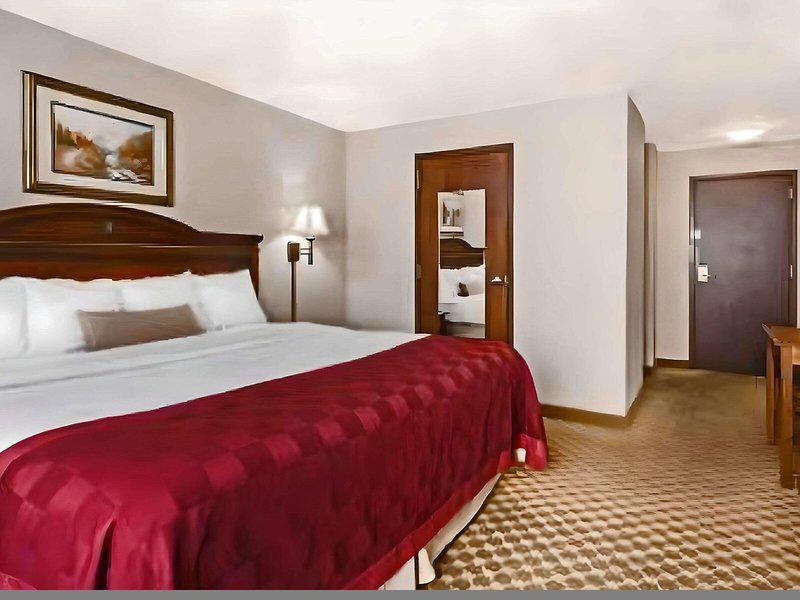 81CD41CFA2A1D75F834D79149FC94532