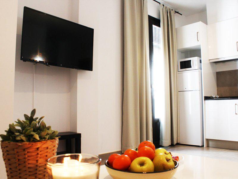 480C491F2F5C8C0E5208D2C72513C7A2