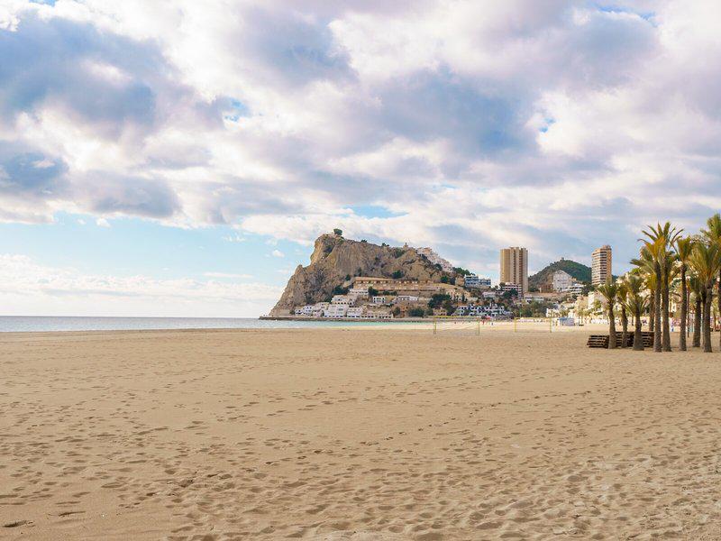 20BCB605CF239F4BCE934482A31328F3