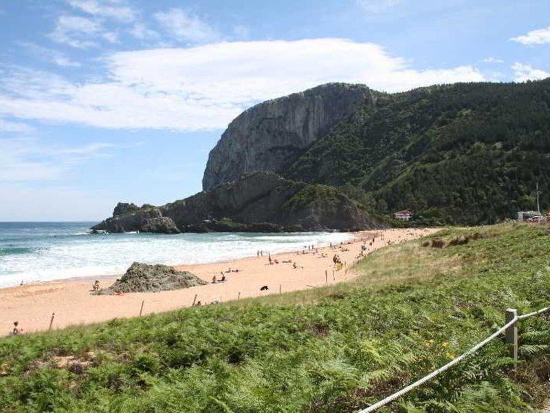 6A0C003F982D63F40288EB1A577C6FB6