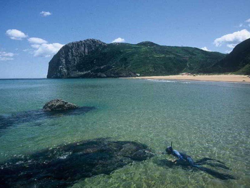 F6AF04494F1E91463C597C9B17AD6F2D