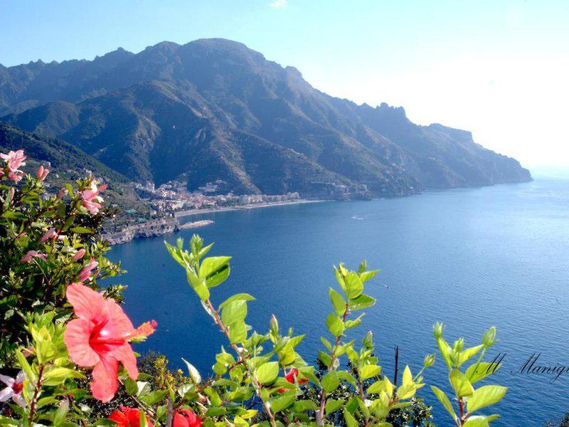 553D72137C819D6F7C16C7194611ACE8