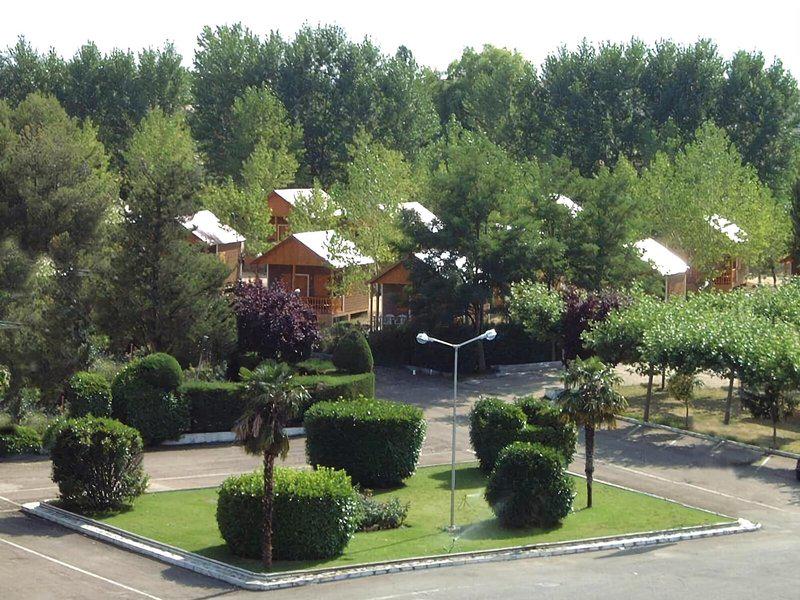 F3BDD2A10585EC78CA53F38819A0F912