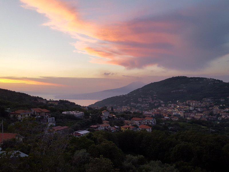 80E2E2471EE337D8C1517DB5A3485EFC