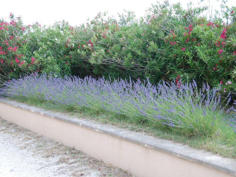 1DD57CFAB9ECC2198623C28A0BE33850