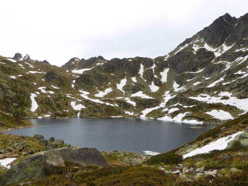 85EE8B97A071593A638EA387F4F05B72