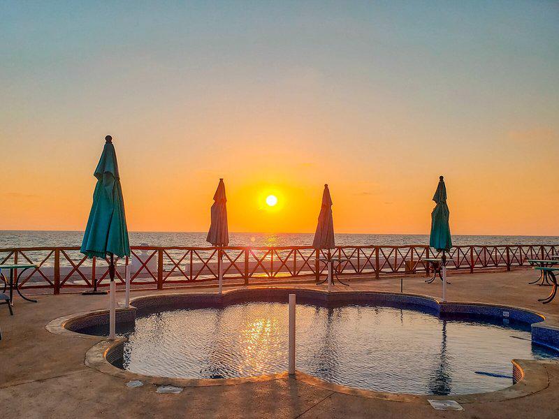 629766A21210F7BA1374C582C4FC97A6