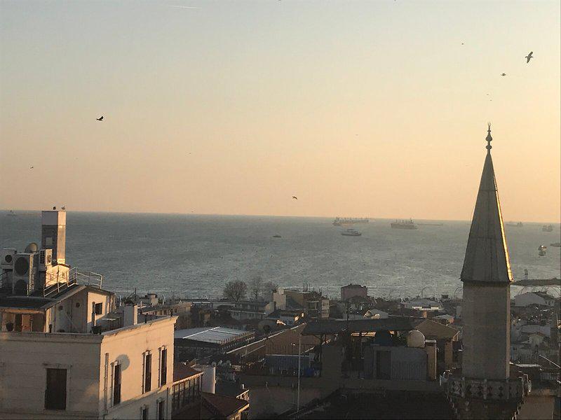 1D8D49678781609D781564517D9E6498