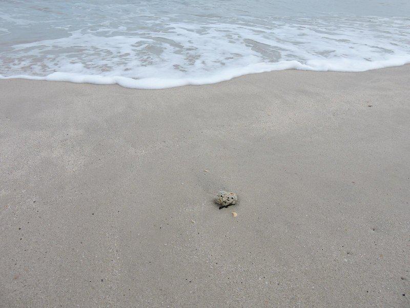 89CDF08946F3F782BD4EBBAA31522B8C