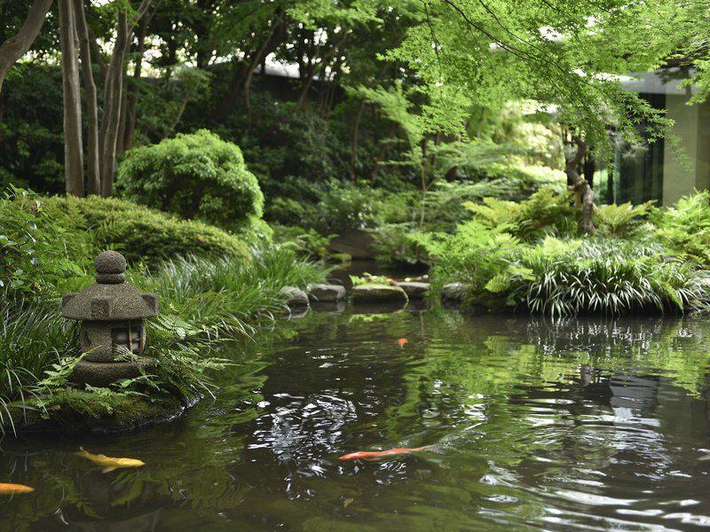 2154B13B222F6D492B0B5EC549B7760C