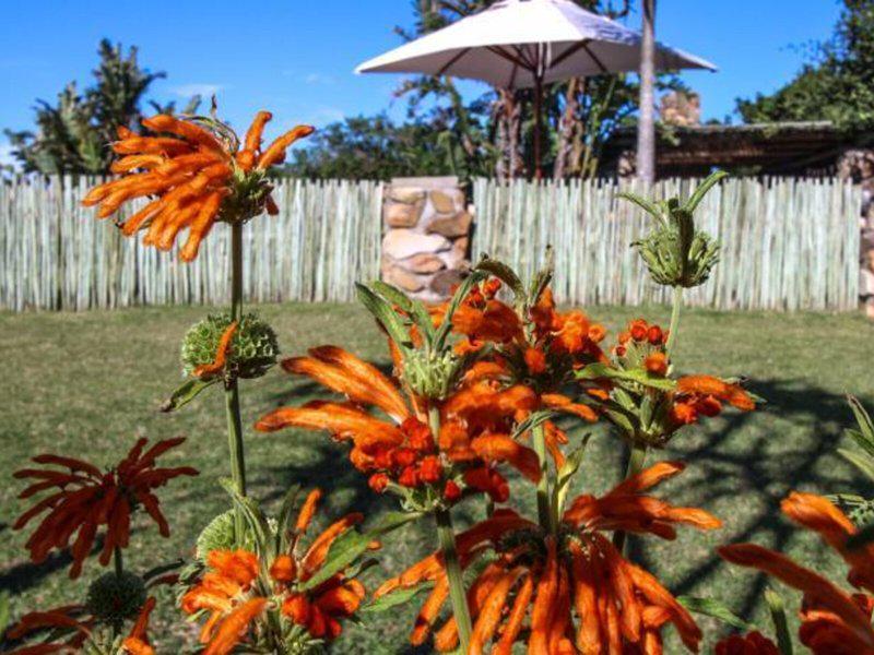 EFB2CB04F4B50294D439EB912D9D121F