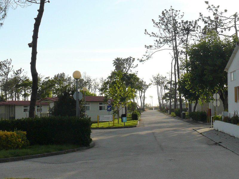 2039BB5D50C3FE94623D011BE170FF78