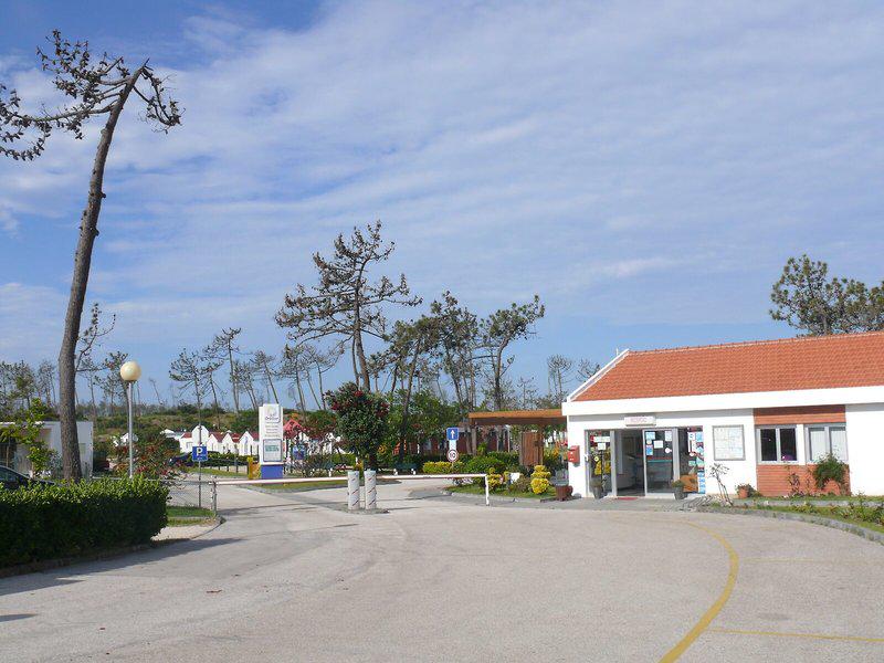 DC24AD633A93EFD31CBE9904B3AEF346