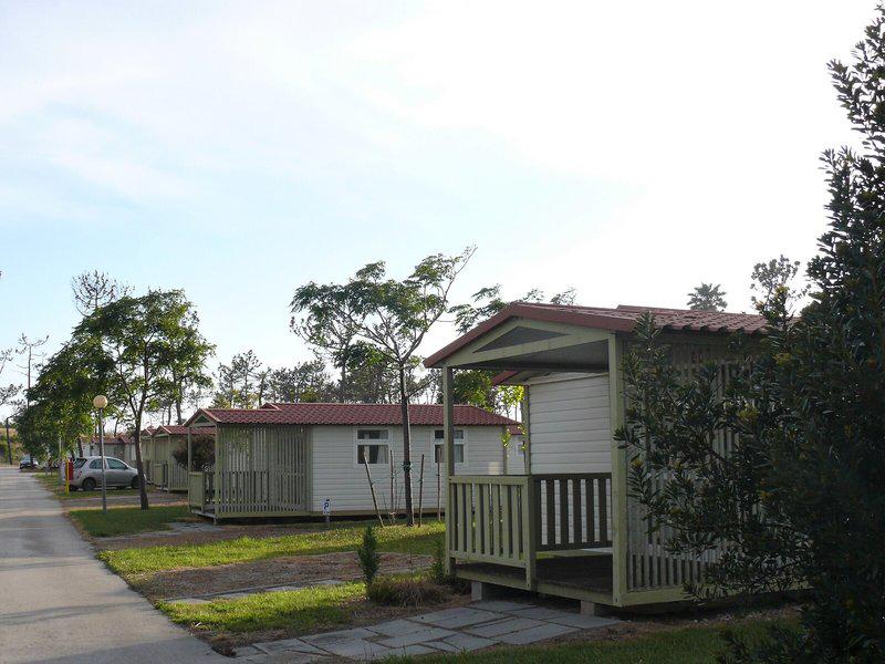 C79AA52EFDD81956CF649B590FD7F844