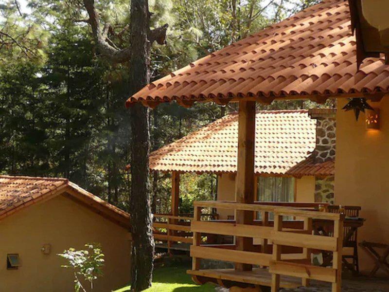 872ABD6CED418844C3825DE98EF27F76