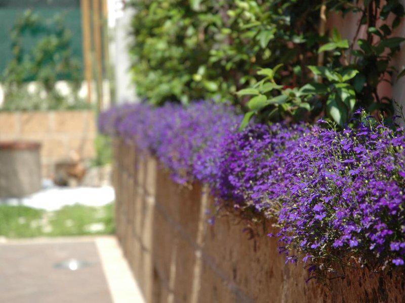 085AC119046C8067C3FA9231EFB75541