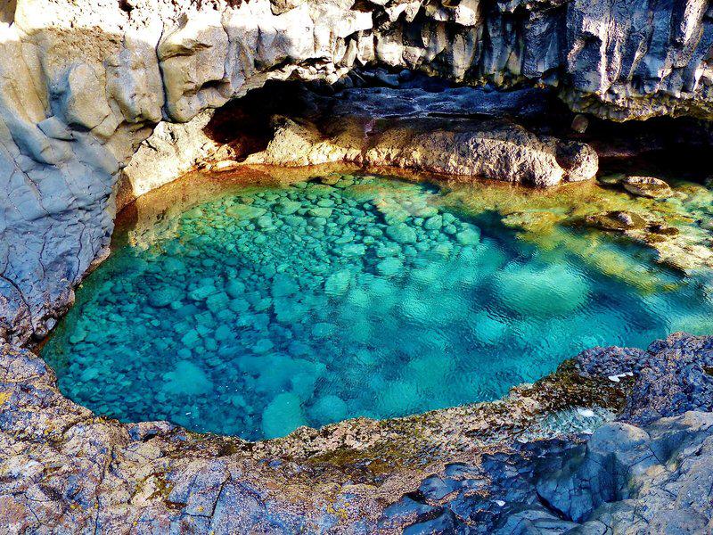 EA22BD2A33D8480E8FA36FF4ED91F07E