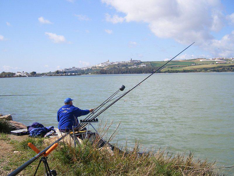 EF8655666E2CE74E25812025ABF941D6