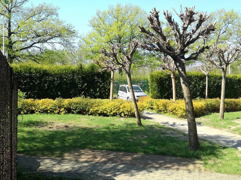 911BAF582A9BC6FB0FE452BC33219FD3