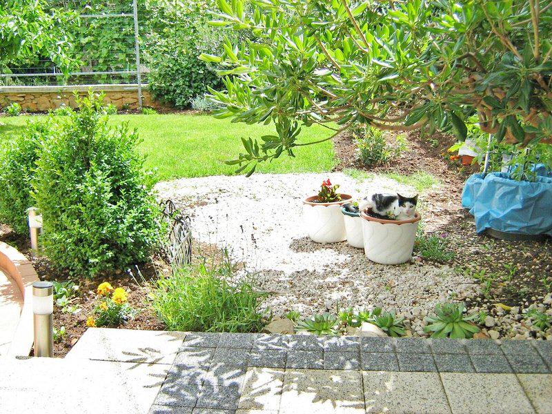 800DB8BD911449744D1EA1C5B1801D7D