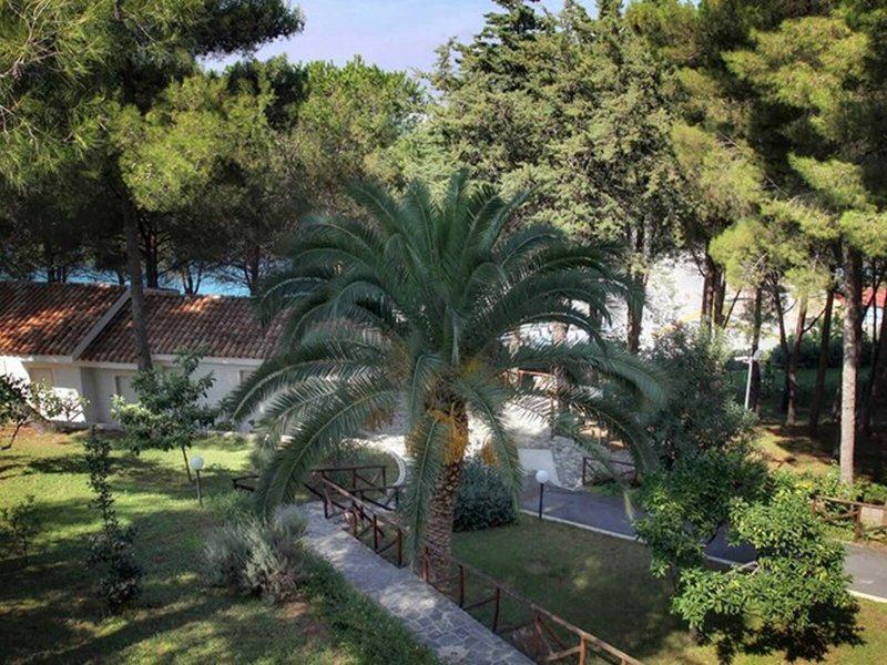 6329A17DBC6964EAEB7B3CBB2C1F3525