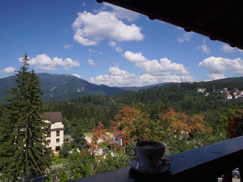 371A6B08A77C691D067B0927A0496D55