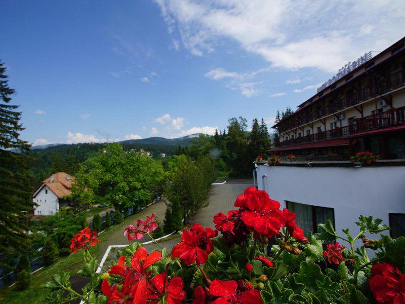 532EC5813C74C281D78895160DEF6FD0