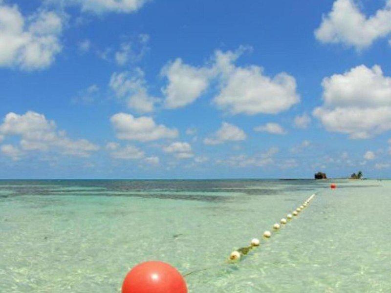 4796CF4A038AABC081322A2E4DCA0E0E