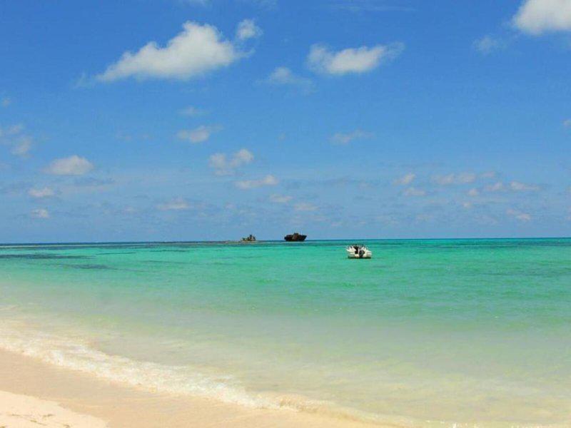 4B8EC93C519C345C7146EA86F3BECBC5