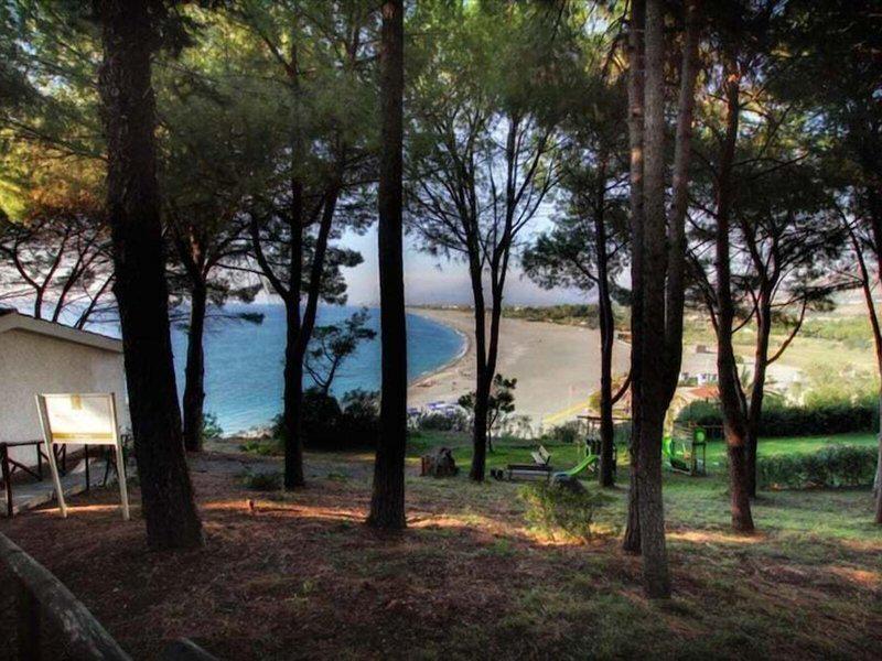 61446F3B14905B7D44591B849655B46E